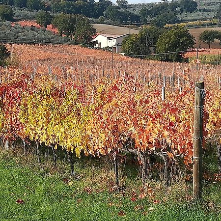 Antico Gioiello Umbro , Appartamento Con Terrazza Foligno Exterior photo
